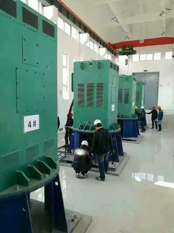 江州某污水处理厂使用我厂的立式高压电机安装现场